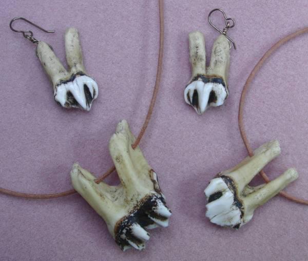 Moose Teeth Necklace and Earrings